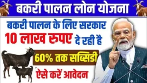 Bakri Palan Loan Yojana