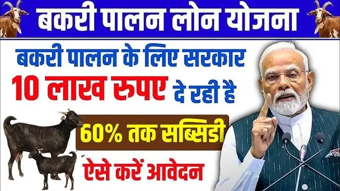 Bakri Palan Loan Yojana